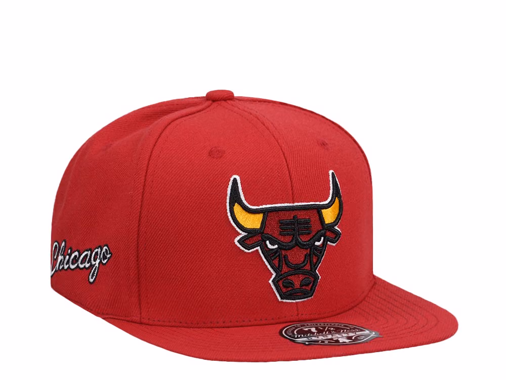 Mitchell & Ness Chicago Bulls Logo History Hardwood Classic Dynasty Fitted Hat front