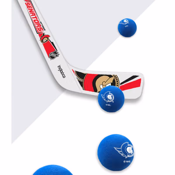 Ottawa Senators NHL Rapid Fire Set view 2
