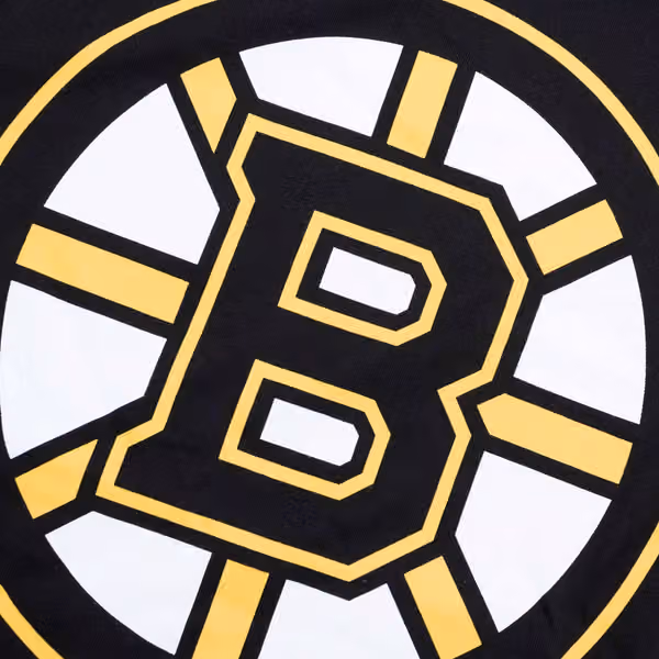 Boston Bruins Team Logo '47 Echo NHL T-Shirt Black view 3