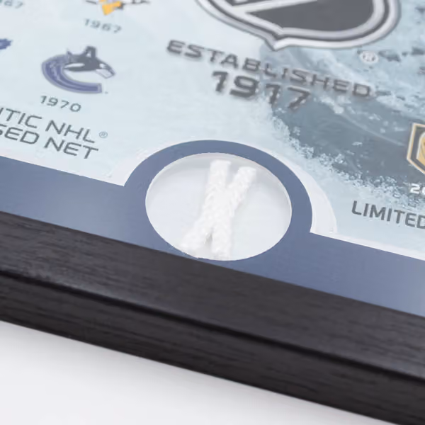 Highland Mint NHL Logos & Game-Used Net Hockey Frame view 2