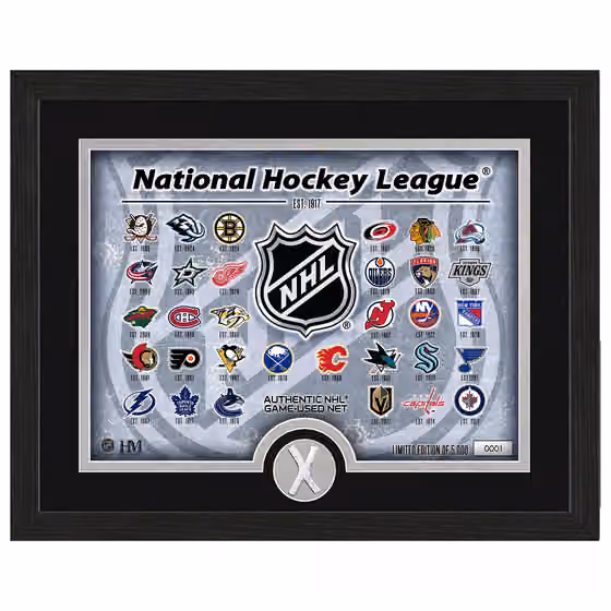 Highland Mint NHL Logos & Game-Used Net Hockey Frame view 1