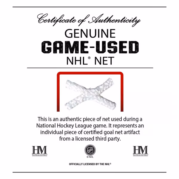 Highland Mint NHL Logos & Game-Used Net Hockey Frame view 4