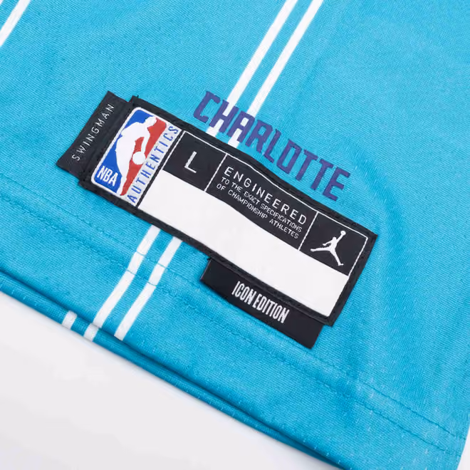 Lamelo Ball #1 Charlotte Hornets Jordan Swingman NBA Jersey Teal (YOUTH) view 5