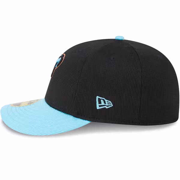 Arizona Diamondbacks 2025 MLB Batting Practice New Era Low Profile 59FIFTY Fitted Cap view 5