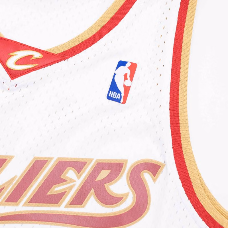 LeBron James #23 Cleveland Cavaliers 2003-04 Swingman NBA Jersey White view 5