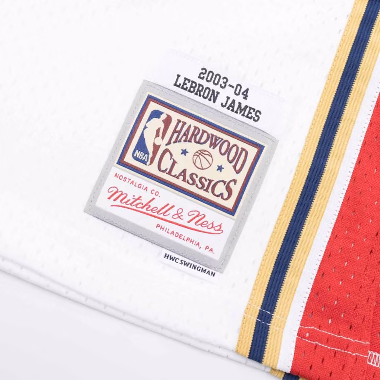 LeBron James #23 Cleveland Cavaliers 2003-04 Swingman NBA Jersey White view 3