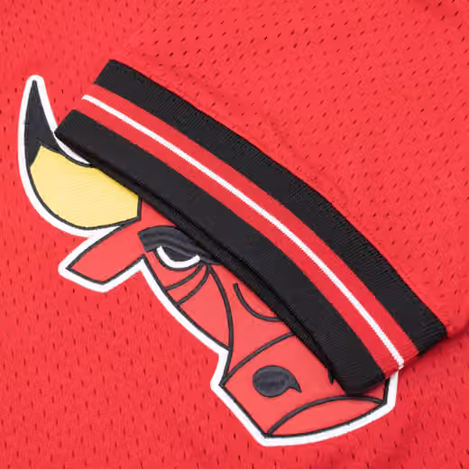 Chicago Bulls Unbeaten Mitchell & Ness NBA V-Neck Mesh Shirt Red view 5