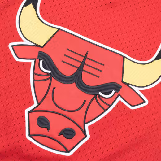 Chicago Bulls Unbeaten Mitchell & Ness NBA V-Neck Mesh Shirt Red view 3