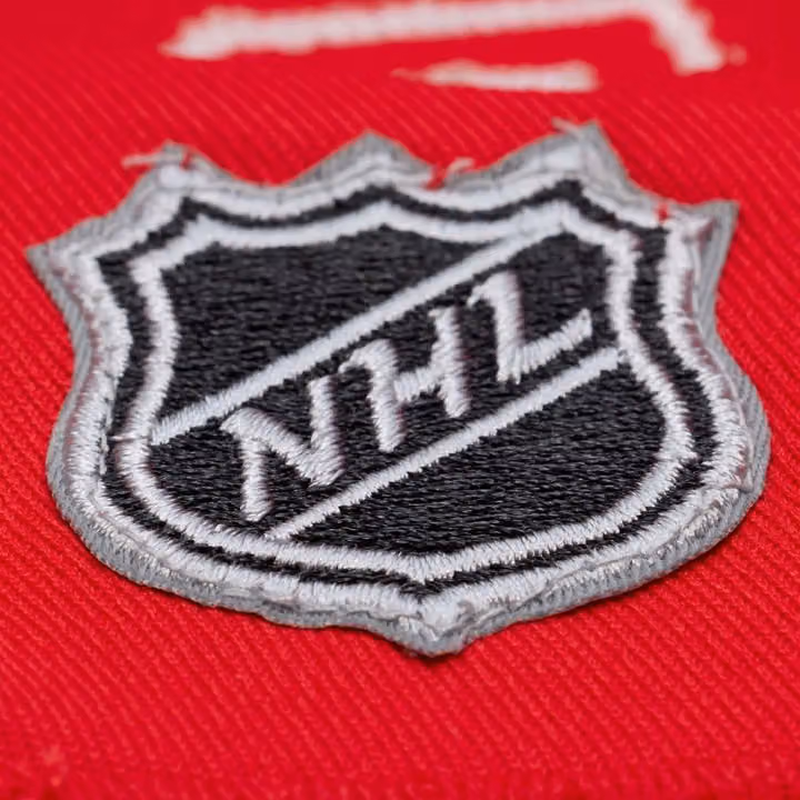 Dylan Larkin #71 Detroit Red Wings 2016 Stadium Series Premium Power Play NHL Jersey Red view 5