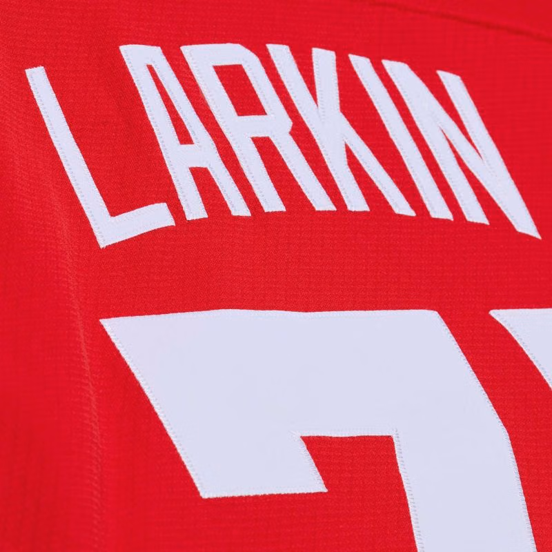 Dylan Larkin #71 Detroit Red Wings 2016 Stadium Series Premium Power Play NHL Jersey Red view 8