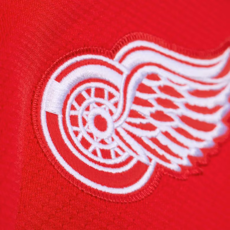 Dylan Larkin #71 Detroit Red Wings 2016 Stadium Series Premium Power Play NHL Jersey Red view 6