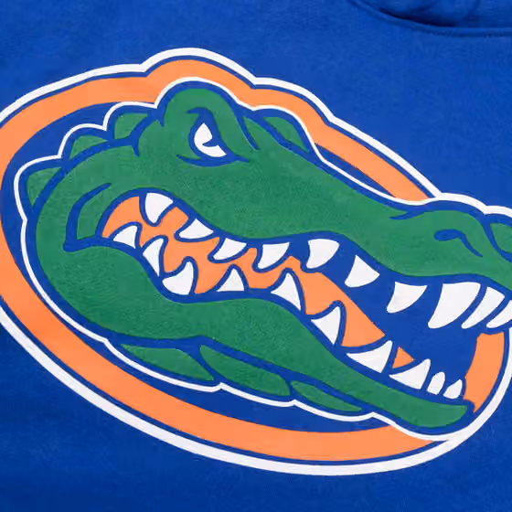 Florida Gators Primary Logo NCAA Hoodie Blue view 3