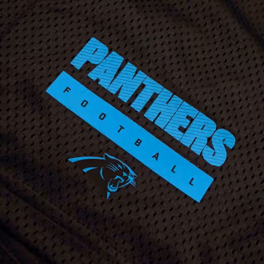 Carolina Panthers 2024 NFL Sideline Mesh Nike Dri-FIT Shorts Black view 3
