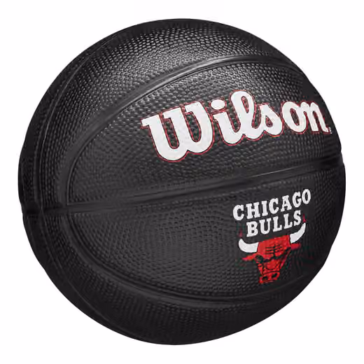 Chicago Bulls Tribute Wilson NBA Mini Basketball (Size 3) view 3
