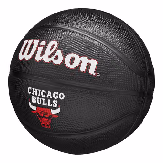 Chicago Bulls Tribute Wilson NBA Mini Basketball (Size 3) view 4