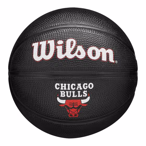 Chicago Bulls Tribute Wilson NBA Mini Basketball (Size 3) view 1