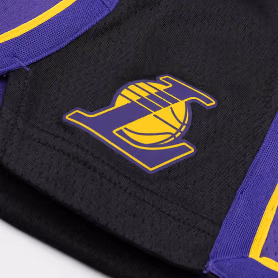 Los Angeles Lakers Jordan Swingman NBA Shorts Purple (YOUTH) view 4