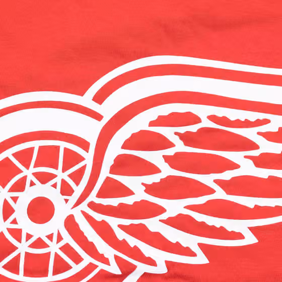 Detroit Red Wings Team Logo '47 Echo NHL T-Shirt Red view 3