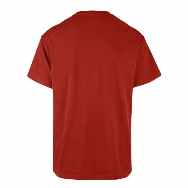 Detroit Red Wings Team Logo '47 Echo NHL T-Shirt Red view 2
