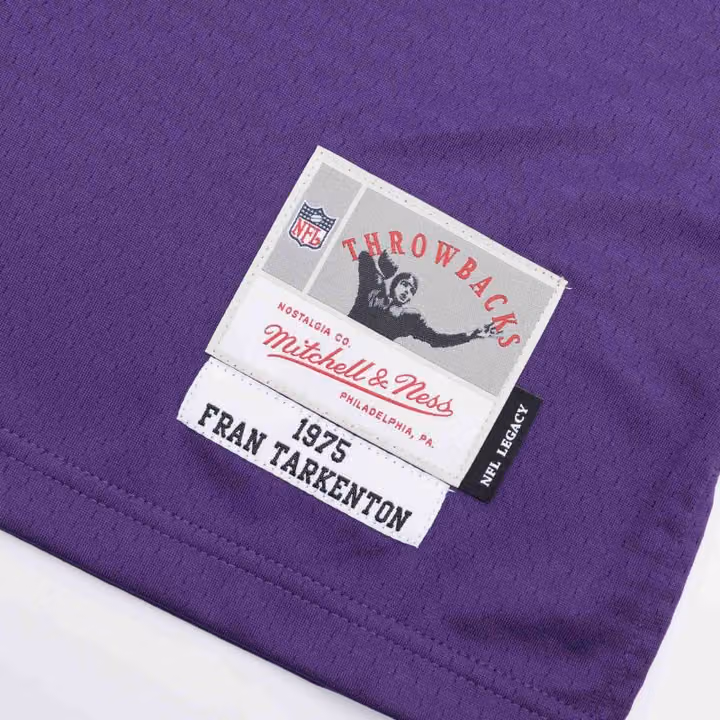 Fran Tarkenton #10 Minnesota Vikings Mitchell & Ness Throwback NFL Jersey Purple view 3