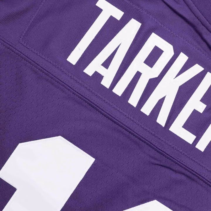 Fran Tarkenton #10 Minnesota Vikings Mitchell & Ness Throwback NFL Jersey Purple view 5