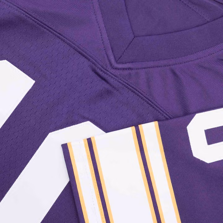 Fran Tarkenton #10 Minnesota Vikings Mitchell & Ness Throwback NFL Jersey Purple view 4