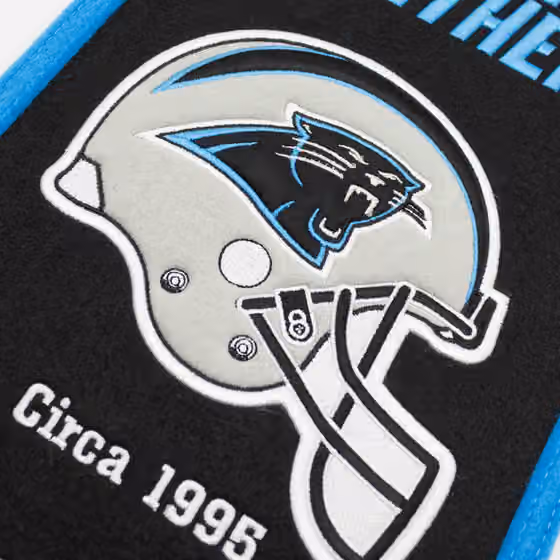 Carolina Panthers Logo Evolution NFL Wool Banner view 3