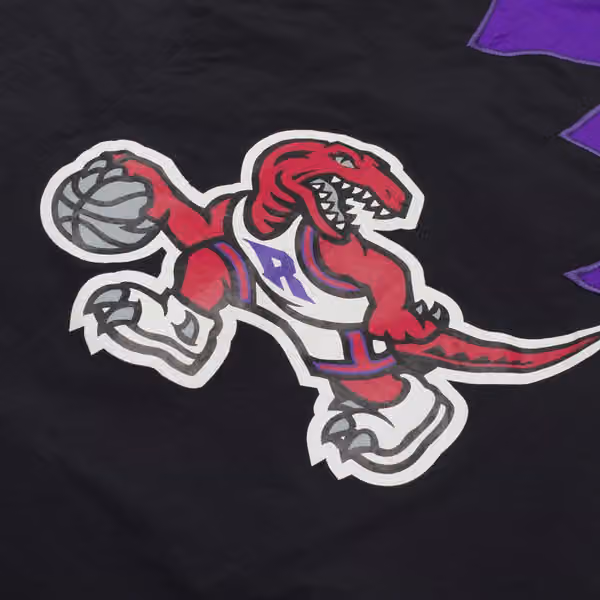 Toronto Raptors 1995-96 Authentic Warm Up Jacket view 4