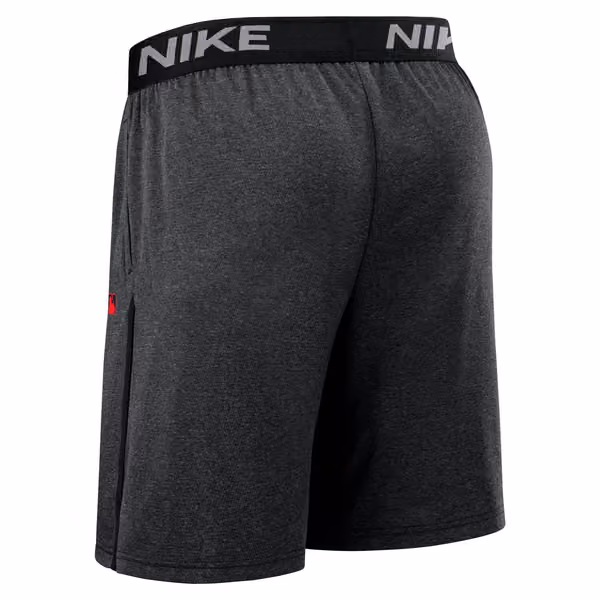 Cincinnati Reds 2025 City Connect MLB Authentic Nike Shorts Black view 3