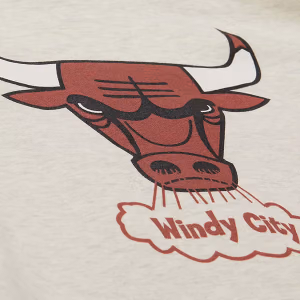 Chicago Bulls Slammin Mitchell & Ness NBA Hoodie Oatmeal Heather view 4