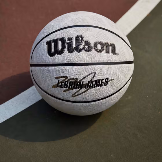 LeBron James UV Player Icon NBA Basketball (Size 7) view 2