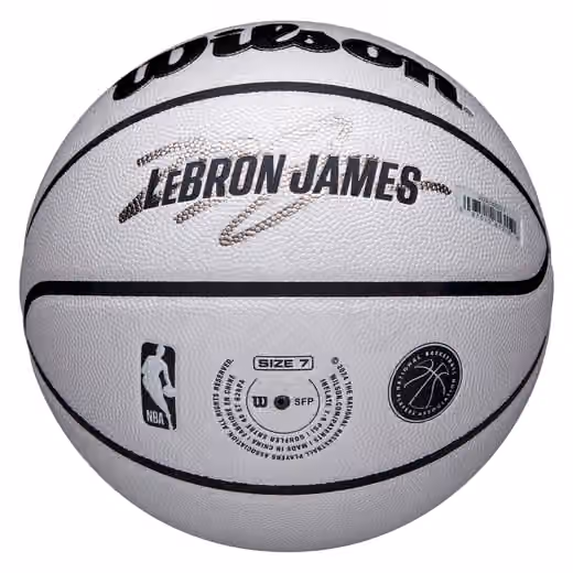 LeBron James UV Player Icon NBA Basketball (Size 7) view 3