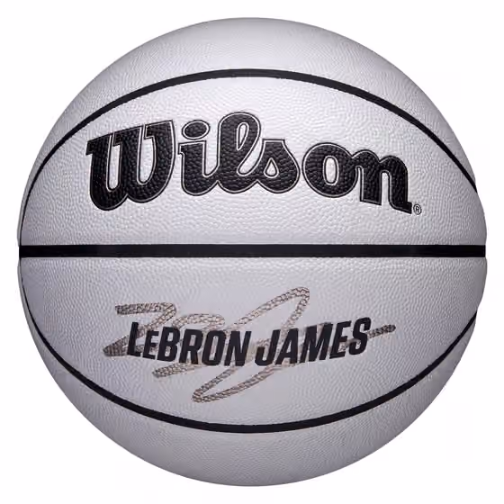 LeBron James UV Player Icon NBA Basketball (Size 7) view 1