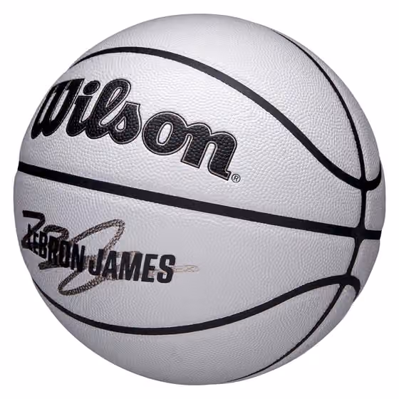 LeBron James UV Player Icon NBA Basketball (Size 7) view 5