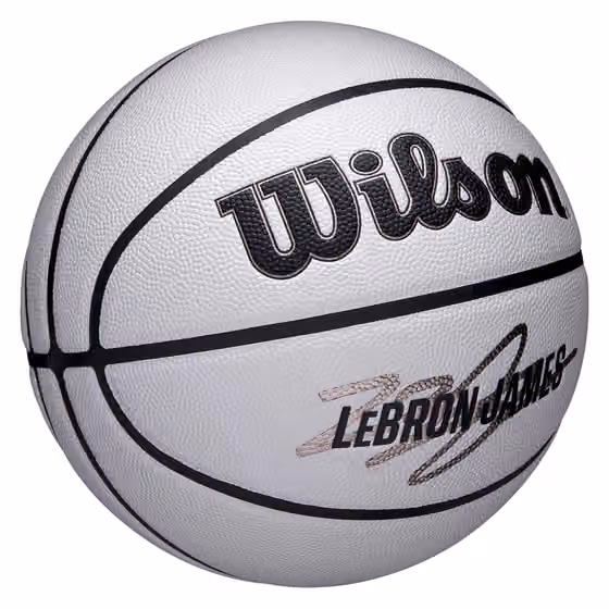 LeBron James UV Player Icon NBA Basketball (Size 7) view 4