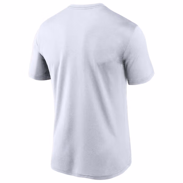 Cleveland Browns 2020 NFL Icon Nike Performance T-Shirt White view 2