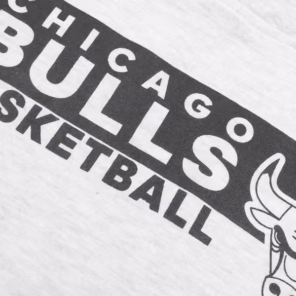 Zach Lavine #8 Chicago Bulls Outerstuff NBA Hoodie Grey view 4