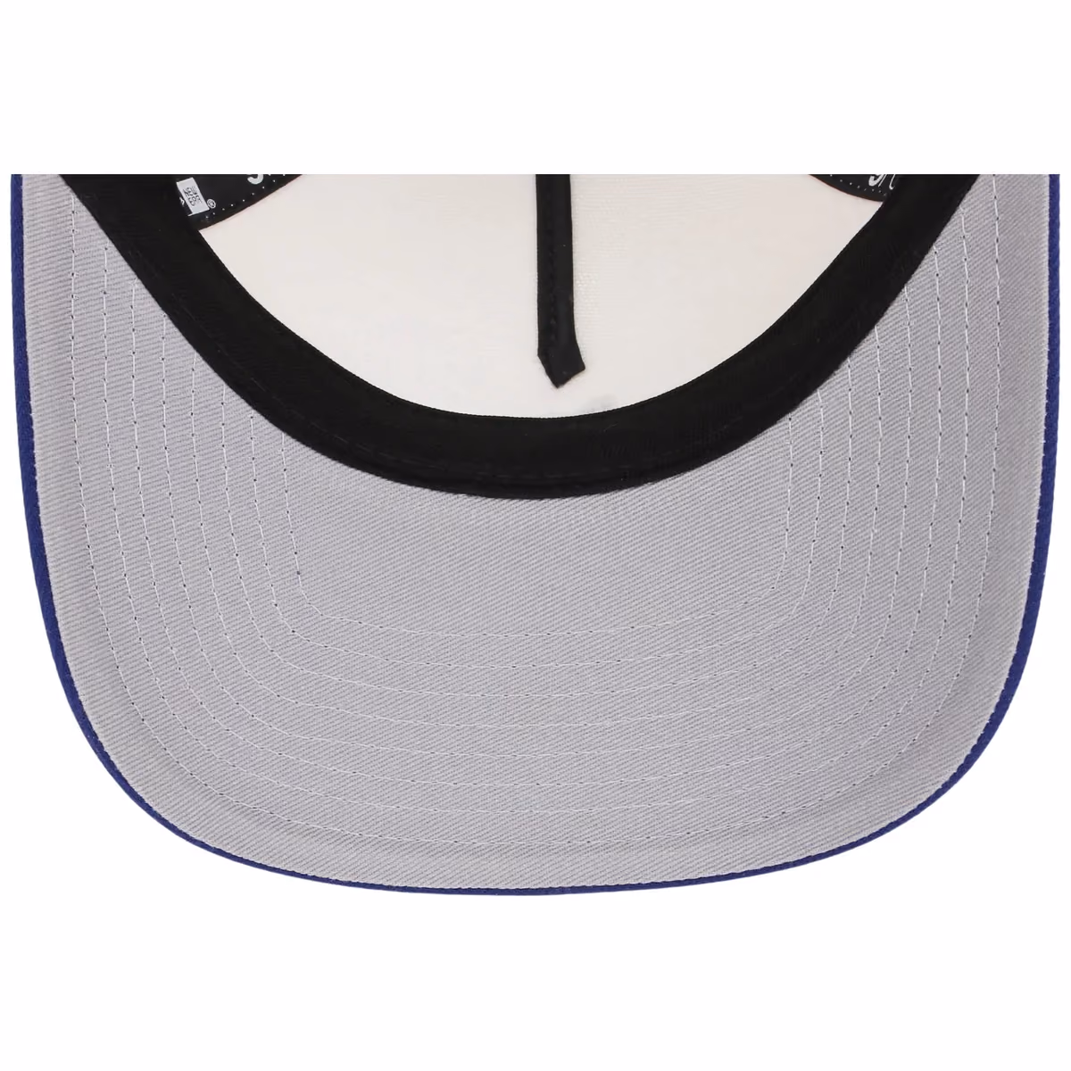 Brooklyn Dodgers MLB Chrome OTC New Era 9FORTY A-Frame back view