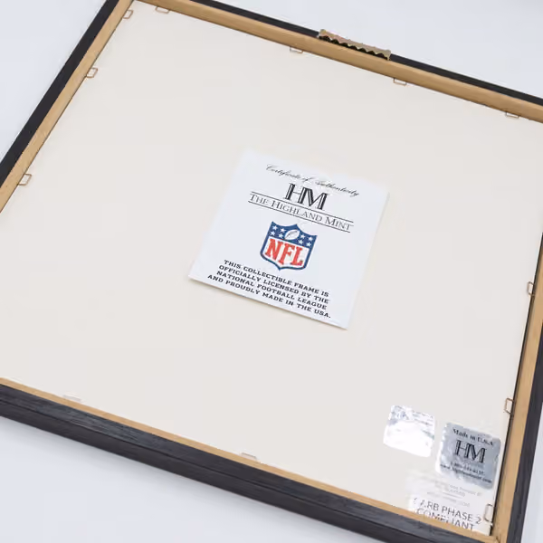 2026 NFL Madrid Game Bengals vs Falcons Silver Coin Framed NFL Photo view 2