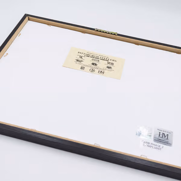 Pittsburgh Steelers Super Bowl Tickets Bronze Coins Framed NFL Photo view 2