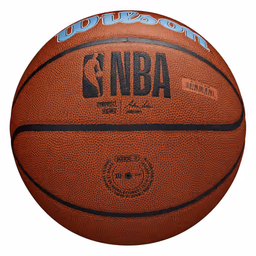 Memphis Grizzlies Wilson Team Alliance Basketball (Size 7) view 2