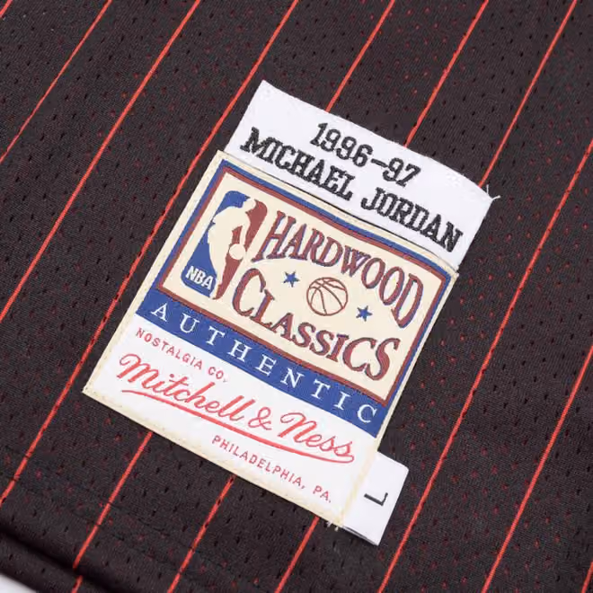 Michael Jordan #23 Chicago Bulls 1996-97 Authentic NBA Jersey Pinstripe (YOUTH) view 4