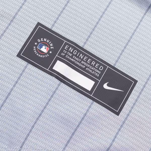 Minnesota Twins Nike MLB Road Jersey Gray view 5