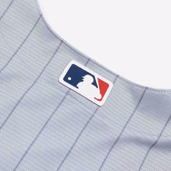 Minnesota Twins Nike MLB Road Jersey Gray view 6