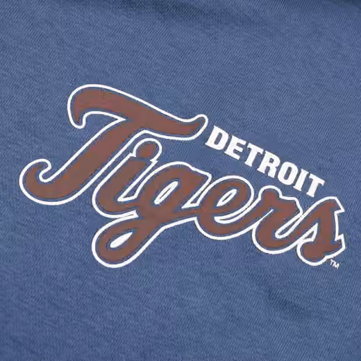 Detroit Tigers Backer '47 Burnside MLB Hoodie Timber Blue view 4