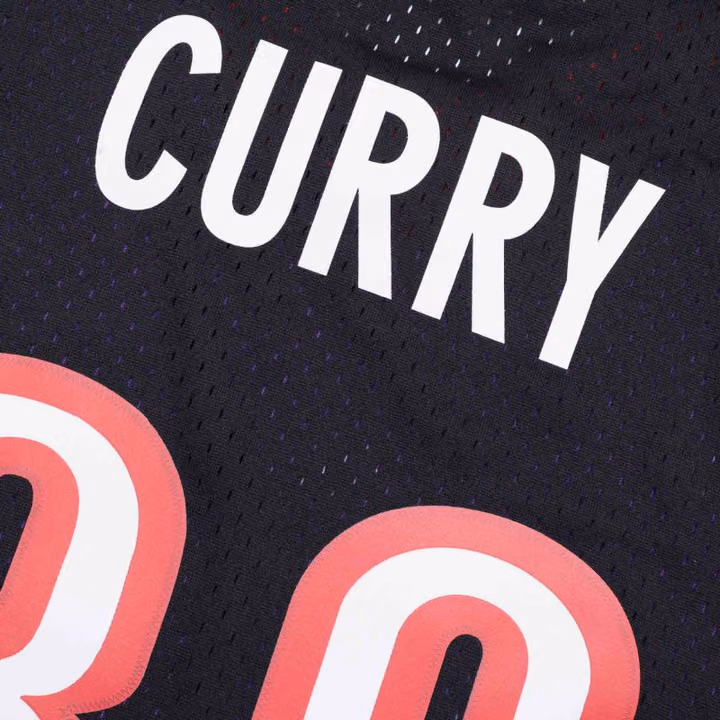Dell Curry #30 Toronto Raptors 1999-00 Mitchell & Ness Swingman NBA Jersey Purple view 4