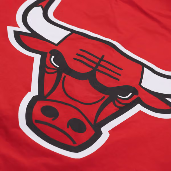 Chicago Bulls 1992-1993 Authentic Warm Up NBA Jacket Red view 5
