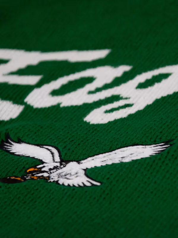 Philadelphia Eagles NFL Head Coach Sweater Green view 4