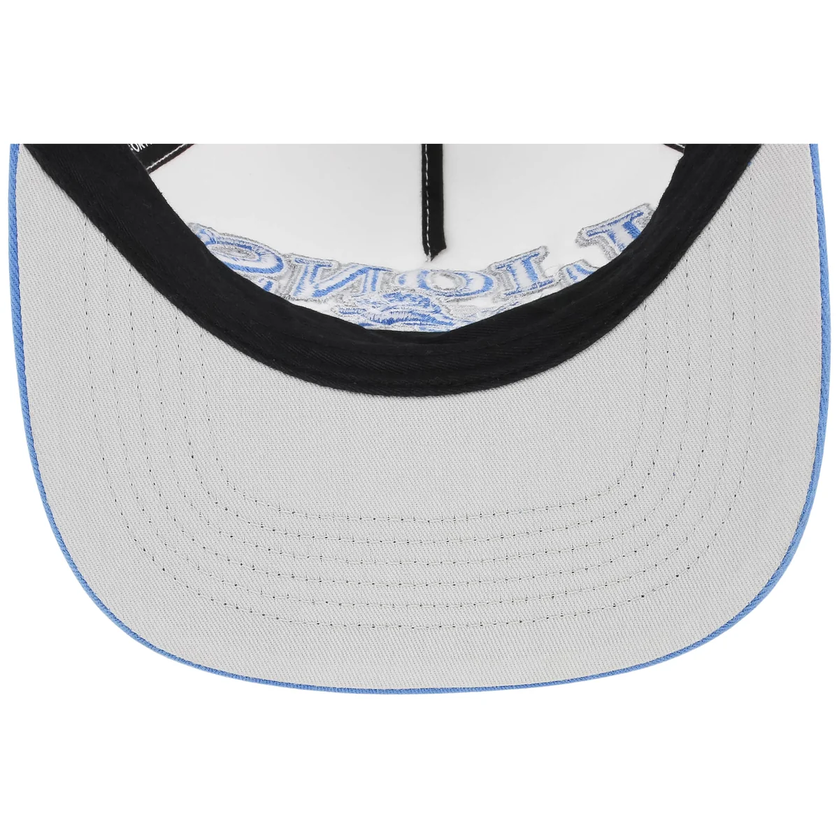 Detroit Lions NFL '47 Big Time 2-Tone Hitch back view