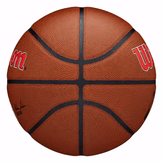 Los Angeles Clippers Wilson Team Alliance NBA Basketball (Size 7) view 5